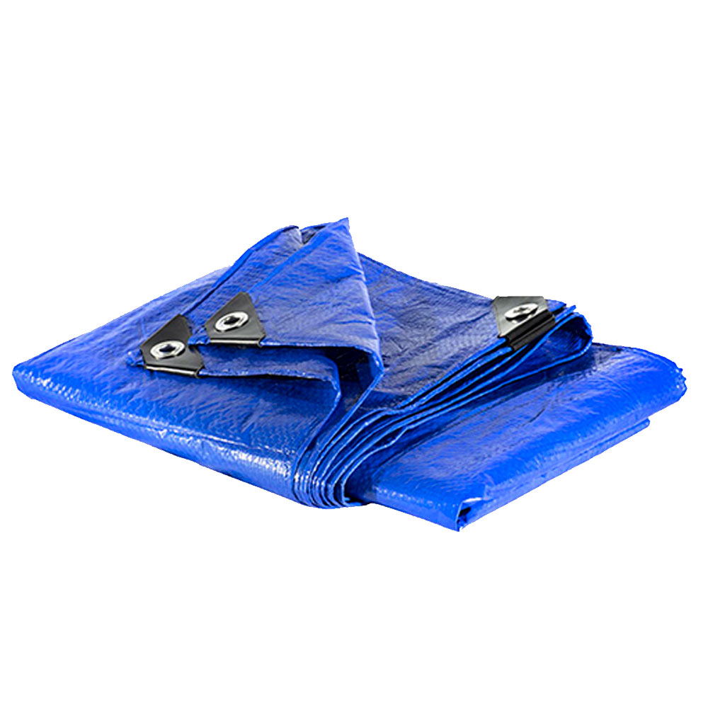 Lona Carreteiro 100 Micras Leve  6x7  Azul APM7020020 REXON