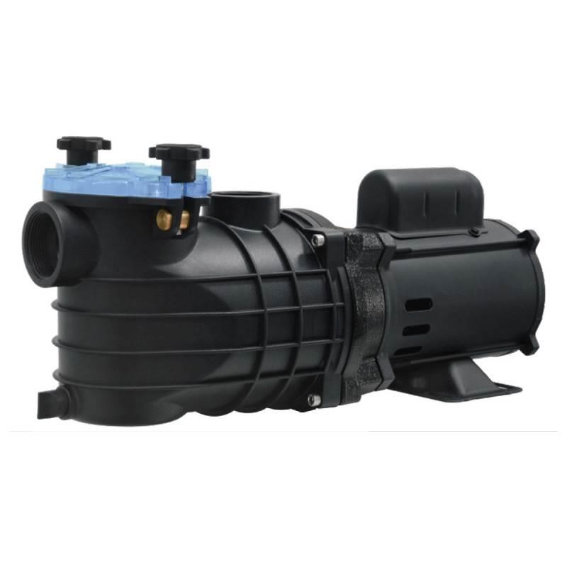 Motobomba para Piscina 1.5 CV Mono 127/220V EKO SCHNEIDER