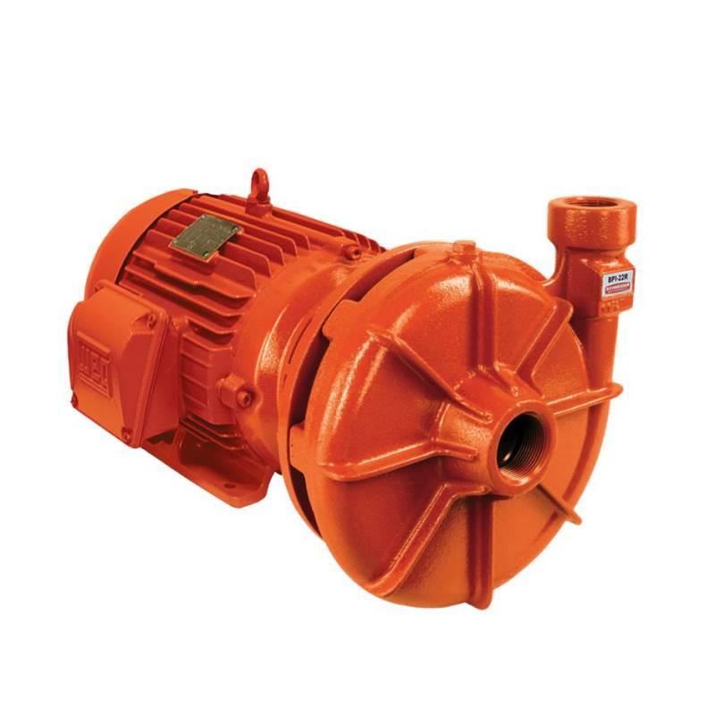 Bomba Incêndio 10 CV Trifásica BPI-22 R 2.1/2 POL 162 MM SCHNEIDER